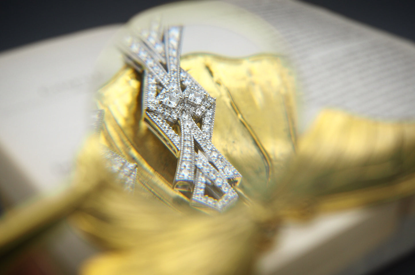 CHAPTER13: “FARFALLA’s” EARRINGS